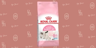 Royal Canin mother and baby cat