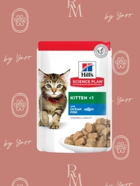 Hill’s kitten wet food with ocean fish 85g