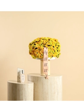 Yellow Joy & Perfume