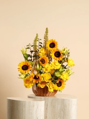 Shams Basket