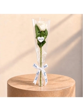 Thank You Teacher – White Rose