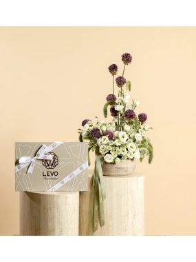 Promise with LEVO Chocolate