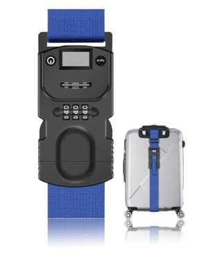 Scale and luggage belt