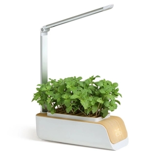 Small hydroponic system with water shortage alarm and multi-colored lighting