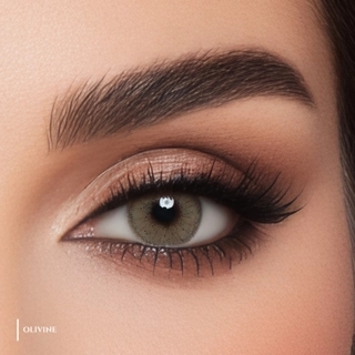 Mslens Daily Contact Lens - Olivien
