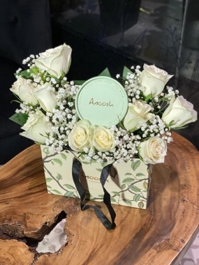 Anoush White Box