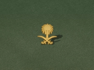 Sky Pinz kingdom logo enamel pin - Gold