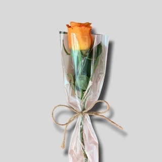 Al-Juri Orange distributions