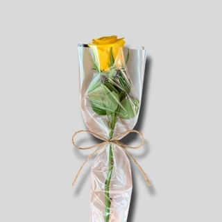 Yellow jouri distributions