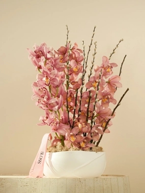 Premium Pink Cymbidium Orchid Arrangement - BLOSS