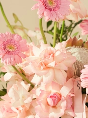 Premium Pink Gerbera & King Protea Arrangement - BLOSS