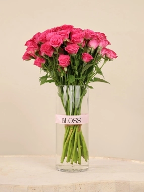Spray Charm Fushia