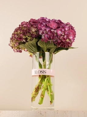 Blooming Charm Purple
