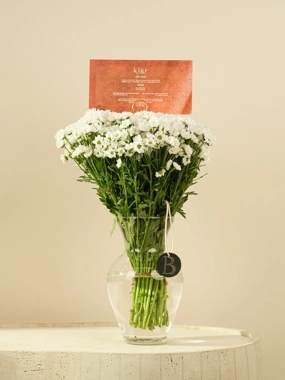 Bloss & Klar Serenity Package: Pure White Chrysanthemum Glass Vase & Relax Massage Gift Card