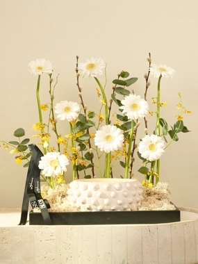 Pure Serenity Daisy Arrangement