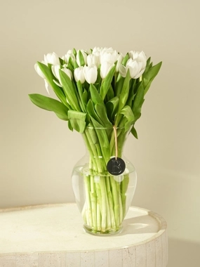 White Tulip Arrangement in Glass Vase