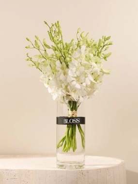 Baby Orchid White Vase