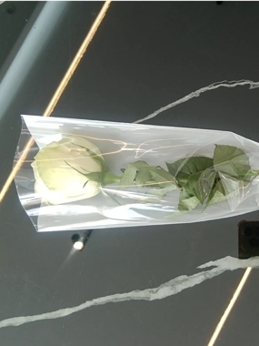 White rose