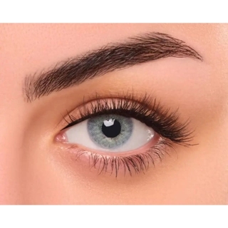 Daily Lens Navy Single Piece