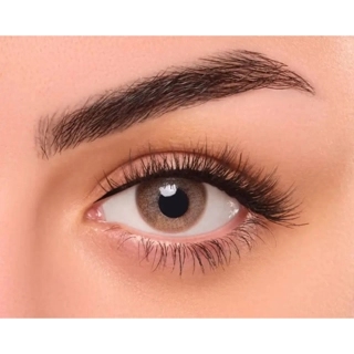 Daily Lens Mocca Single Piece