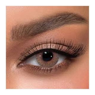 Caramello Daily Contact Lenses