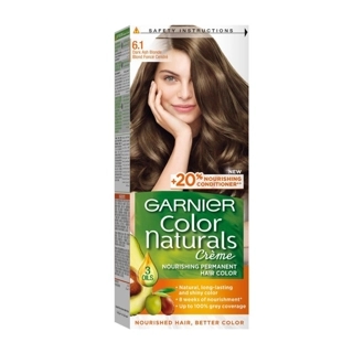 Garnier Color Naturals 6.1 Hair Color 1 Piece