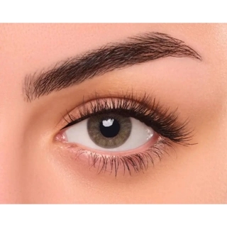 Daily Lens Ice Single Piece