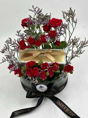 فازة بستاني بيبي روز