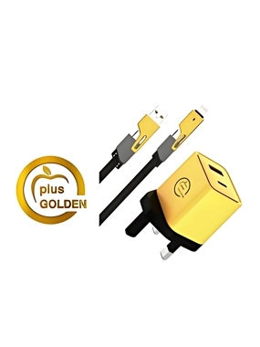 Golden Plus 65W Charger with Multi-Cable