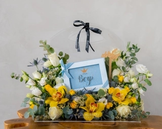 Baby Boy Gift(NEW)