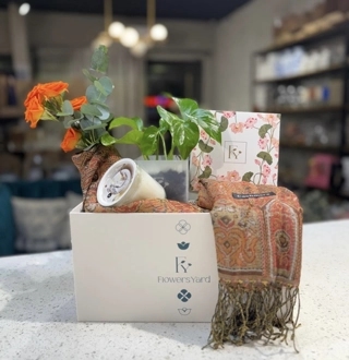 Winter Box 1