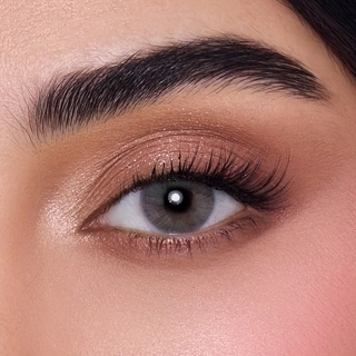 Anesthesia Colored Lens Addict Gray