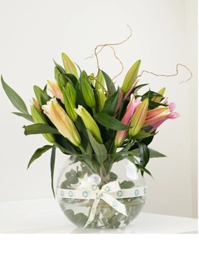 Lily Serenity – Glass Vase