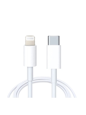 Original Apple charger