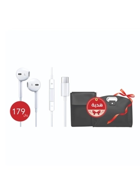 Original Apple Type-C headphones with iPad/laptop bag