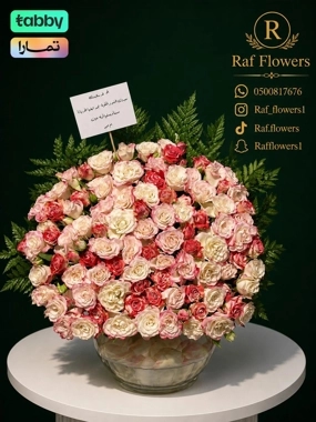 Vasa4