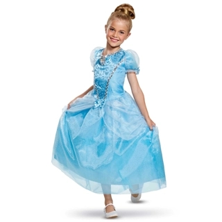 Cinderella Deluxe costume