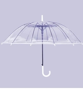 Umbrella