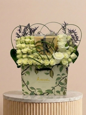 Anoush's coordination