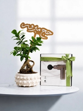 Hajj plant with massage device