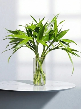 Bamboo vase