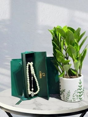 Zamia plant with a rosary