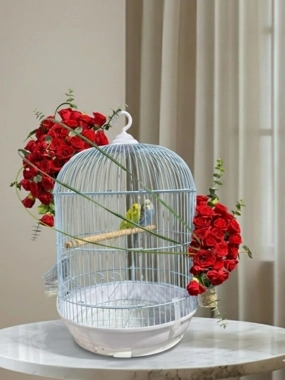 lovebirds