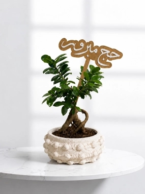 Hajj plant