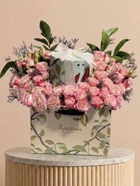 Anoush 2 format