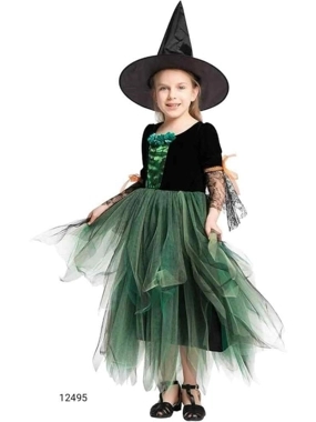 Green Witch Costume