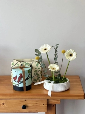Gerbera natural rose vase with Anoush wafer sticks 001