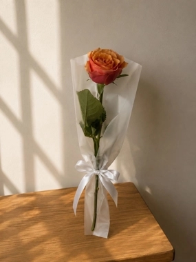 Single orange rose