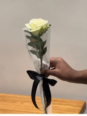 Single white roses "distributions"