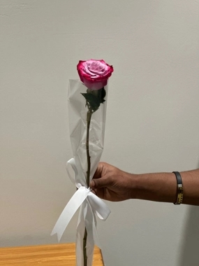 Individual roses, "distributions"